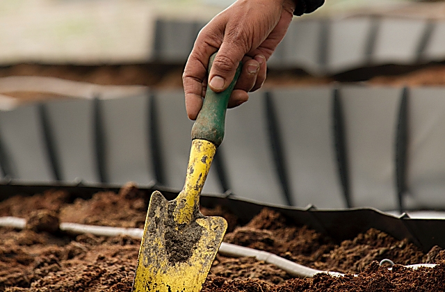 Garden Spade