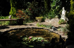 Do You Need Planning Permission For a Garden Pond?