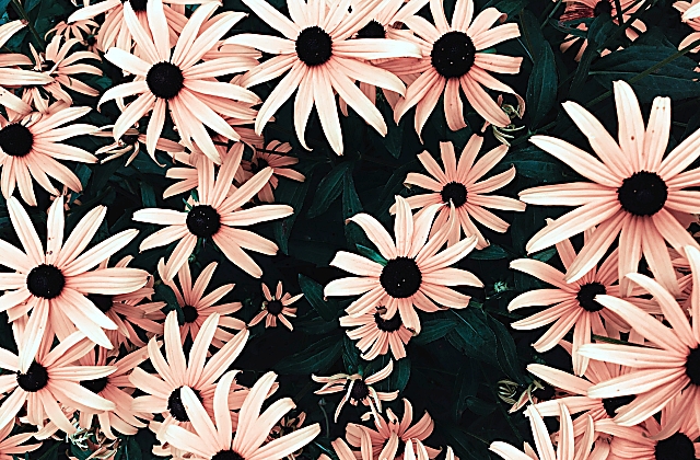 How Deep Should Flower Beds Be?